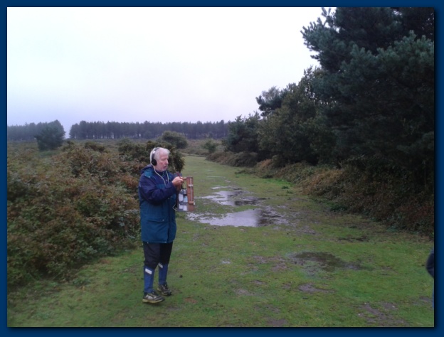 624x474 pixels (92K)